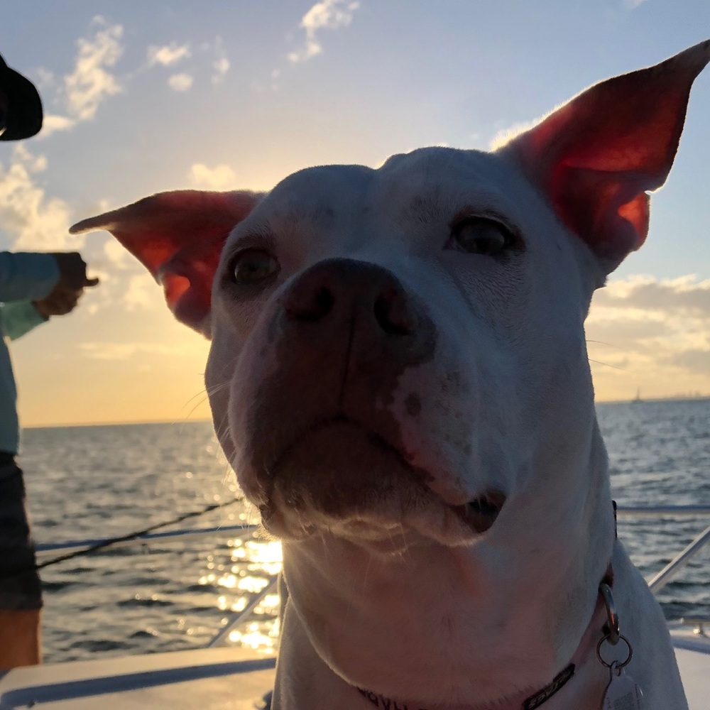 Meet your Posher, Emma